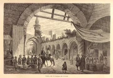 Neue universelle Geographie